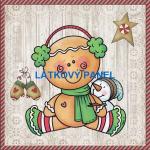 BAVLNĚNÉ LÁTKY- PANELY, REPRODUKCE OBRAZŮ,ŠICÍ STROJE