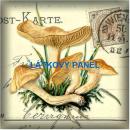 BAVLNĚNÉ LÁTKY- PANELY, REPRODUKCE OBRAZŮ,ŠICÍ STROJE