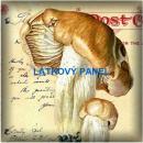 BAVLNĚNÉ LÁTKY- PANELY, REPRODUKCE OBRAZŮ,ŠICÍ STROJE