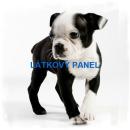 BAVLNĚNÉ LÁTKY- PANELY, REPRODUKCE OBRAZŮ,ŠICÍ STROJE
