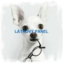 BAVLNĚNÉ LÁTKY- PANELY, REPRODUKCE OBRAZŮ,ŠICÍ STROJE