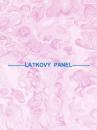 BAVLNĚNÉ LÁTKY- PANELY, REPRODUKCE OBRAZŮ,ŠICÍ STROJE