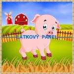 BAVLNĚNÉ LÁTKY- PANELY, REPRODUKCE OBRAZŮ,ŠICÍ STROJE